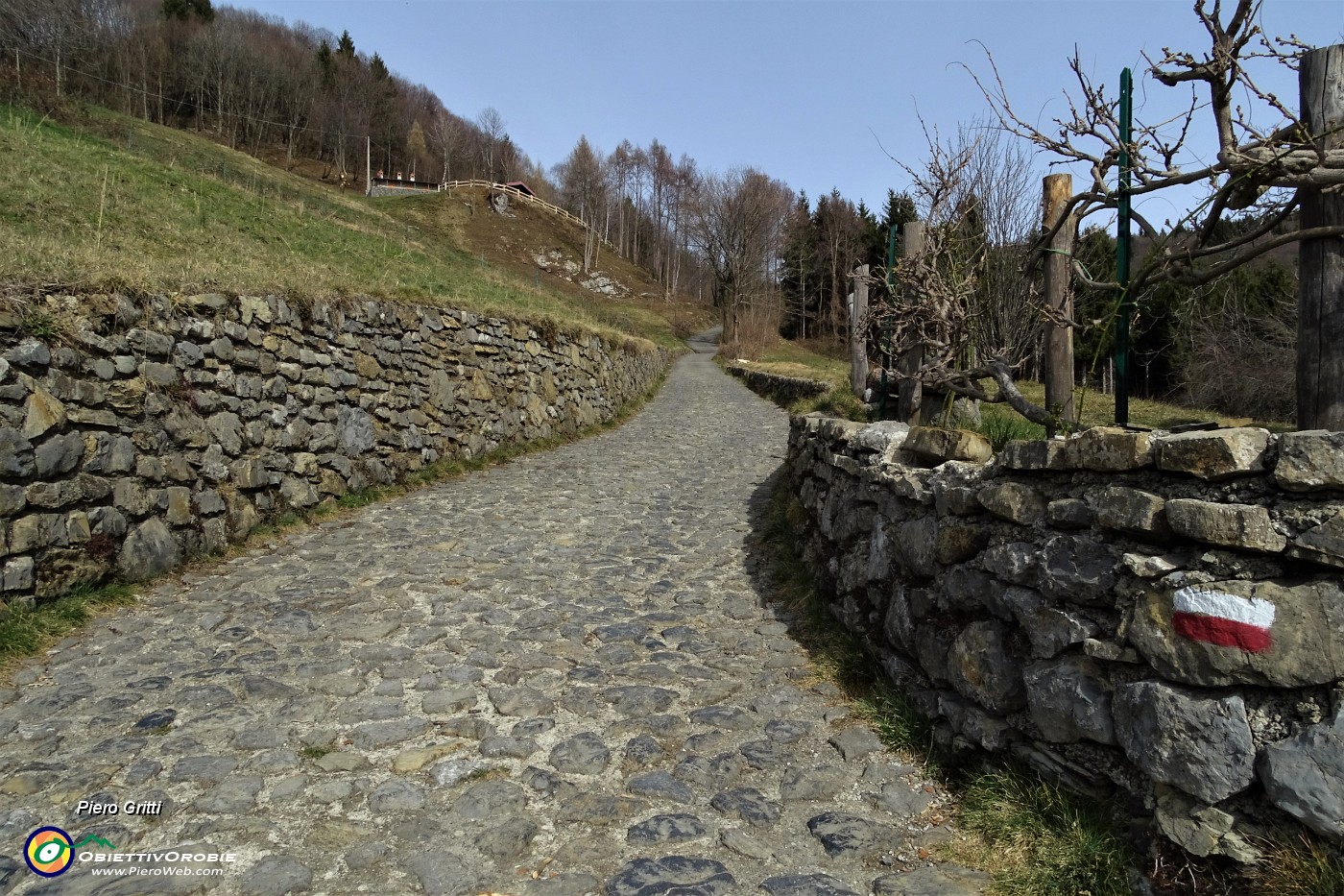 44 Proseguo sul sent. 506C per il Molinasco e il Sornadello.JPG